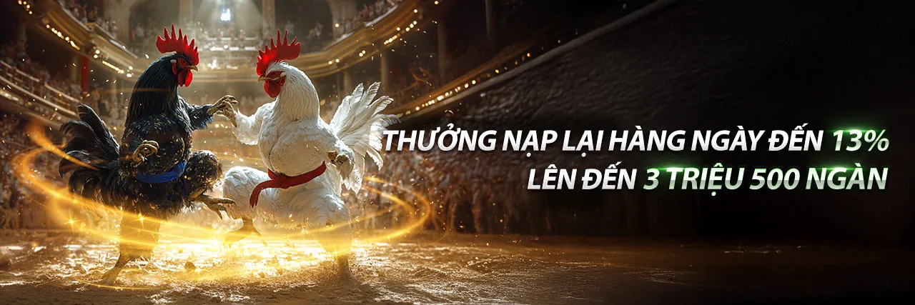 Nền tảng mocbai với các tính năng nổi bật và trải nghiệm đăng nhập an toàn